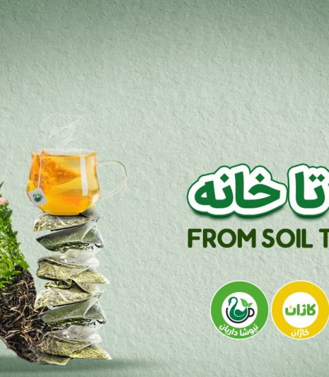 اعطای نمایندگی چای و دمنوش و پک های پذیرایی نیوشا (بدون ضامن و با حداقل سرمایه)