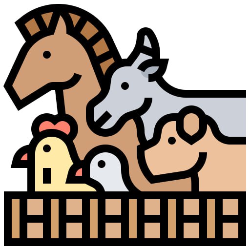 photo_2024-10-30_12-26-44