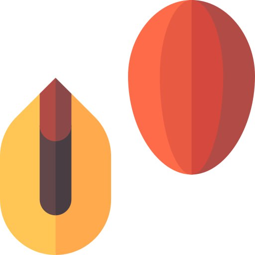 photo_2024-11-03_11-57-12